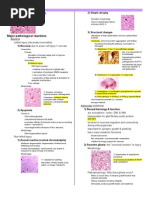 Download CNS Pathology Summary by imeds SN44435747 doc pdf