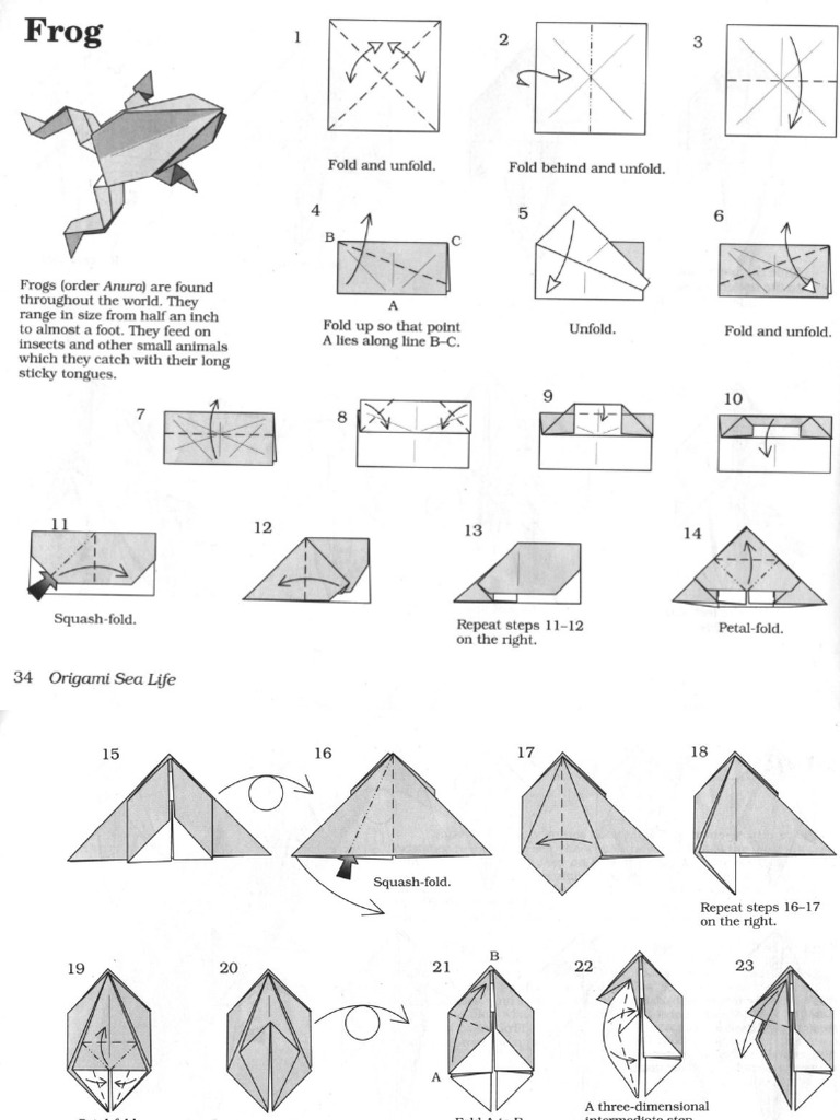 Origami Sea Life PDF | PDF