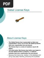 Activate and Configure Datamine License | PDF