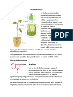 FITOHORMONAS