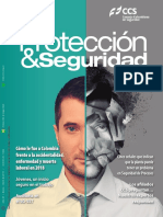 Proteccion y Seguridad CCS PDF