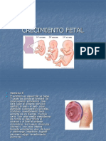 Crecimiento Fetal