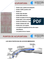 Puntos de Acupuntura