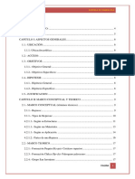 Informe Salida Ranracasa