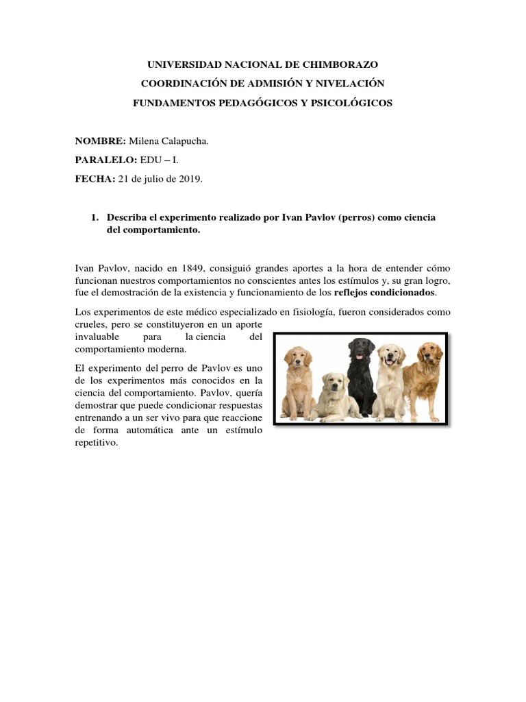 Experimento de Pavlov con Perros | PDF | Ciencia y matemáticas