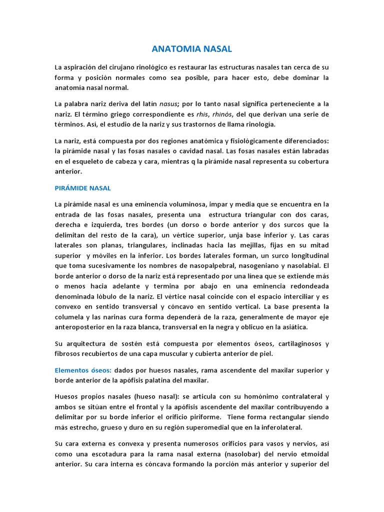Anatomía de la Nariz Humana | PDF | Anatomía humana | Cabeza y cuello ...