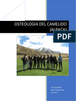 INFORME DE TALLER  OSTEOLOGIA- RAYA