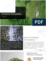 Forestería Comunitaria