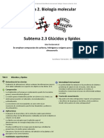 2 - 3 - Glúcidos y Lípidos