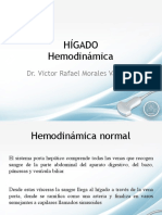Hígado Hemodinámica PDF