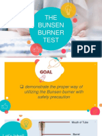 BUNSEN.pptx