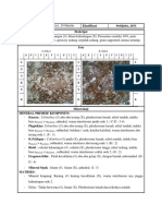 Analisis Petrografi Kang Azka