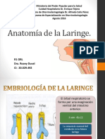 Anatomía de La Laringe Roa