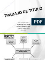 Trabajo de Titulo