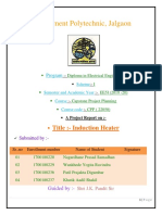 FINAL Induction Heating CPP REPORT