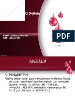Anemia Fira Promkes