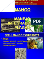 MIP-MANGO.pdf