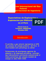 Espectativas-de-Exploracion-y-Explotacion-