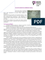 Candidíase.pdf