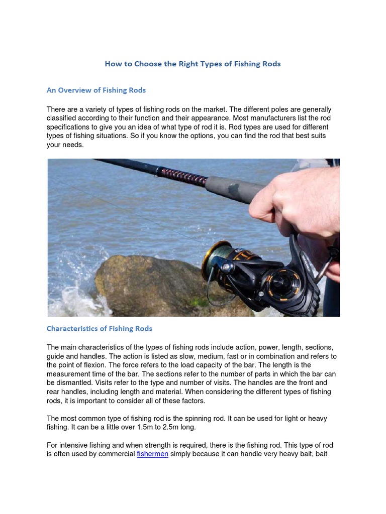 How To Choose The Right Types of Fishing Rods PDF, PDF, Fishing Rod