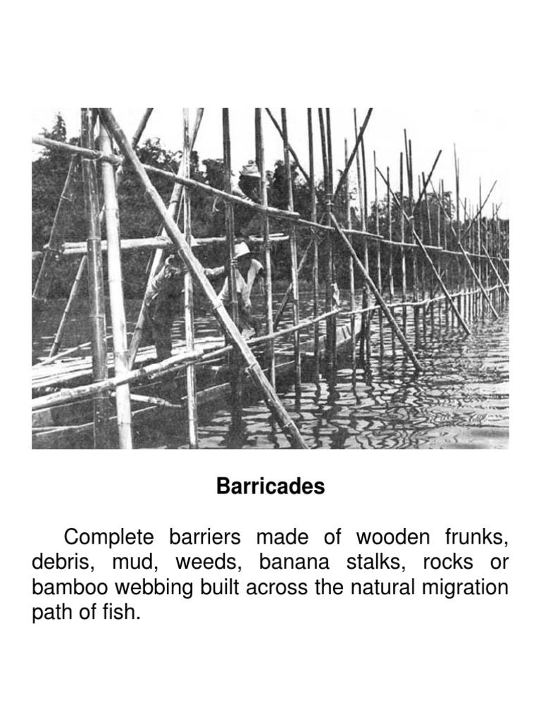 Barricades Pdf