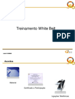 Treinamento White Belt PDF