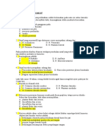 A. Degradasi spesifik2. Neurotransmitter berikut ini merupakan inhibitor:A. GABA B. SerotoninC. DopamineD. GlutamatE. Histamin