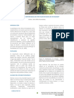 conociendo.pdf