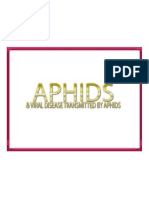 Aphids