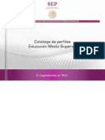 Anexo 7-2 CATALOGO DE PERFILES EMS - 6 Capacitación en TICS