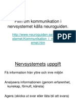 Nervsystemet