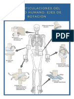 Articulaciones del cuerpo humano (1).pdf