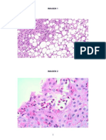 Medicina-Imagenes Mir 2020 PDF