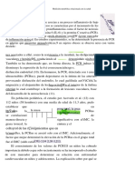 Itinerario S Grupal