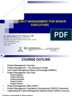Project Management For Senior Executives
