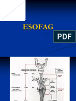 patologie-esofagiana.pps.ppt