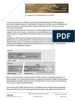 Lactase Pedigrees Patterns Inheritance Student Spanish