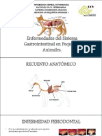 Enfermedades Del Sistema Gastrointestinal en Pequeños Animales PDF