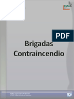 Brigadas Contraincendio PDF