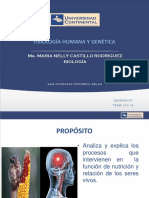 07 - Nutrición y Sistema de Coordinación e Integracion