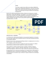 MEIOSIS Y FECUNDACIÓN