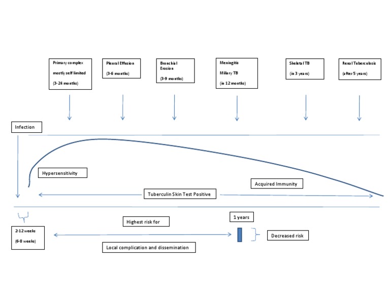 Timetable Walgreen PDF