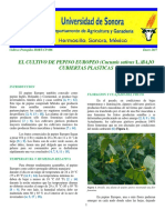 EL CULTIVO DE PEPINO EUROPEO (Cucumis Sativus L.) BAJO CUBIERTAS PLASTICAS