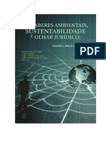 BELINDA saberes_ambientais.pdf