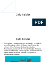 Ciclo Celular- Biologia celular