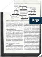 CARNES - Xerox do livro Química de Alimentos de Fennema- Página 1.pdf