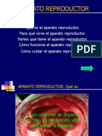 APARATO REPRODUCTOR