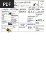 Planificação 4 ano junho 2018