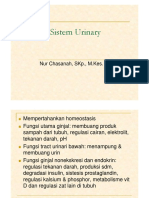 Fungsi Sistem Urinary PDF