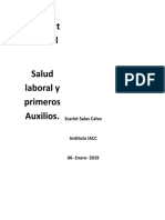 Proyecto Final - Scarlet Salas - SLPAdocx
